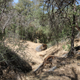 Illustration for article titled Toby Hike Day: Wellbarn Road to San Joaquin River Trail